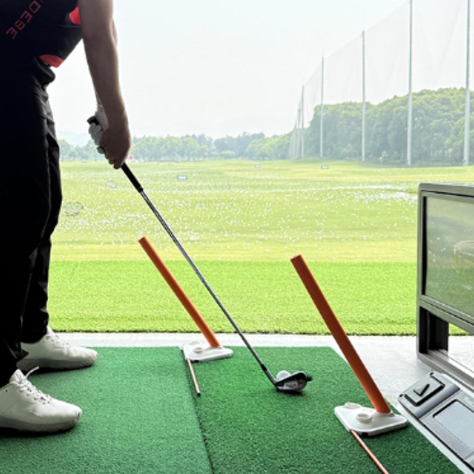Pro Golf Practice Equipment Sw - Alignment Stick Set review and price